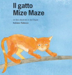 Livre «Il Gatto Mize Maze»