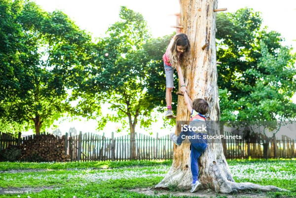istockphoto-1169630623-1024x1024.jpg istockphoto-1169630623-1024x1024.jpg