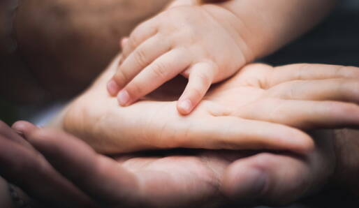 eugene-chystiakov-qlxcymu06s8-unsplash_-_recadree.jpeg eugene-chystiakov-qlxcymu06s8-unsplash_-_recadree.jpeg